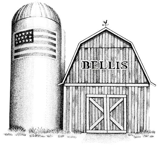 Bellis